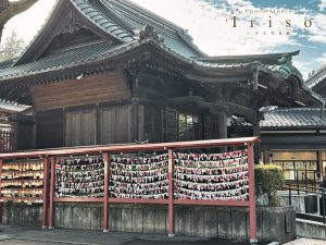 神社 撮影スポット