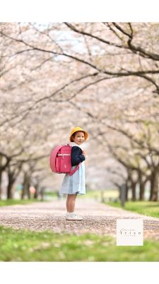 桜並木でランドセルを背負っている女の子