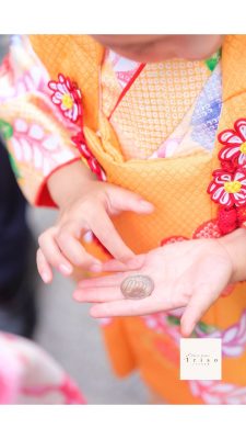 狭山市・入間市・所沢市で七五三のお参りができる神社