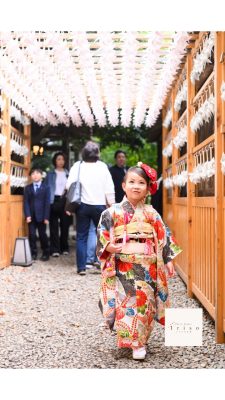狭山市・入間市・所沢市で七五三のお参りができる神社